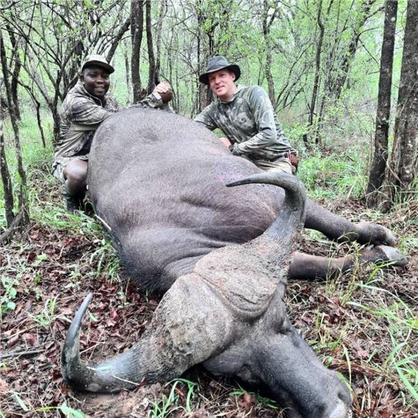 Elephant Trails Safaris