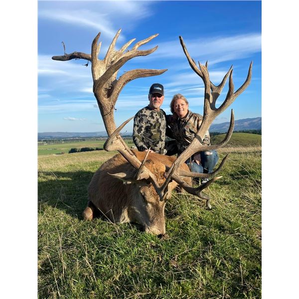 New Zealand Red Stag Hunt