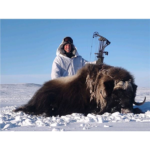 CANADIAN HIGH ARTIC ADVENTURES