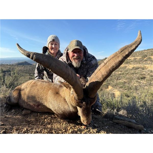 WILD HUNTING SPAIN: Barcelona, Spain