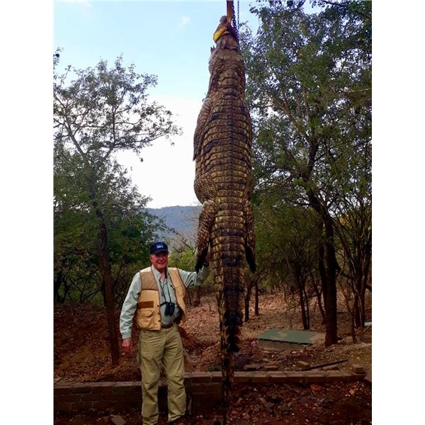 Crocodile Hunt in South Africa
