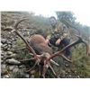 Image 5 : 5-Day Hunt in Spain