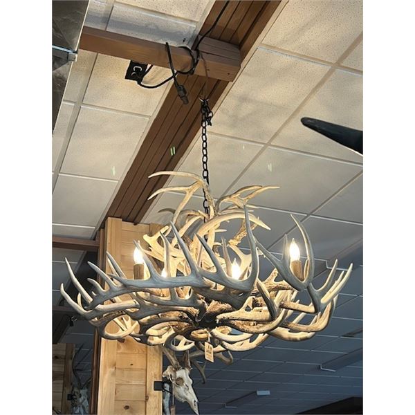 A Great Chandelier Made of Shed Antlers