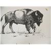 Image 2 : Lot of 9 Dobbe prints of buffalo, dall sheep, and other big game (158)