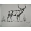 Image 4 : Lot of 9 Dobbe prints of buffalo, dall sheep, and other big game (158)