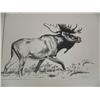 Image 6 : Lot of 9 Dobbe prints of buffalo, dall sheep, and other big game (158)