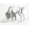 Image 9 : Lot of 9 Dobbe prints of buffalo, dall sheep, and other big game (158)