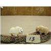 Image 2 : 2 - 1" musk ox mounted on whale bone by Robert Kokuluk (2)