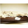 Image 3 : 8.5" mammoth ivory relief carving of 2 eagles feeding eaglet - imported #M038(2)