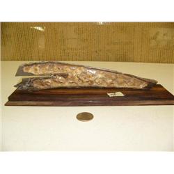 10" mammoth ivory bark relief carving of 13 penguins M042 (2)