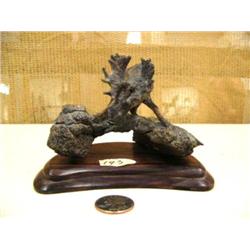 Mammoth ankle bone carved into a bull moose - imported, 4" M078 (2)