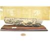 Image 1 : 9" relief carved mammoth ivory of 5 swimming sea cows M021 (2)