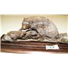 Image 3 : 5.5" group of 3 bears, mother and 2 babies carved from mammoth bone - imported M043 (2)