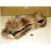 Image 1 : Wolverine and wolf ruff (2)