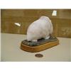 Image 2 : Rink alabaster walrus on base by Mike Scott (25)