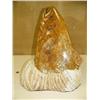 Image 1 : Outstanding 21" soapstone jumping salmon by Michael Scott (2)
