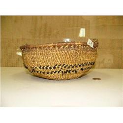 9" coastal Indian basket circa 1900 (2)