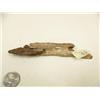 Image 4 : Fossilized whale ear drum, slate artifact ulu blade, ancient seal harpoon (2)