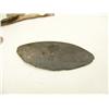Image 5 : Fossilized whale ear drum, slate artifact ulu blade, ancient seal harpoon (2)