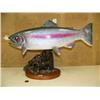 Image 1 : Phenomenal 22" carved wood Rainbow Trout by World Class fish carver (2)