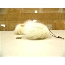 CHOICE on 2 polar bear fur yo-yos (2)