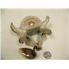 Image 2 : CHOICE on 3 Canadian Geese whale bone and ivory sitting on nest with eggs 4" tall (2)