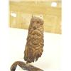 Image 2 : CHOICE on 4: relief carvings on mammoth ivory: Indian Chief and bear (2)