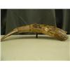 Image 1 : 20" scrimshawed mammoth tusk with hunter, whale, walrus and bear by Ralph M Kowchee (74)