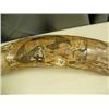 Image 2 : 20" scrimshawed mammoth tusk with hunter, whale, walrus and bear by Ralph M Kowchee (74)