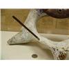 Image 3 : CHOICE on 2: 13" whale vertebrae sculpture with beautiful trade bead hat (2)