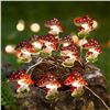 Image 1 : Battery Operated | LED 20 Mushroom Light String | 6.6 Feet in Length | New