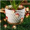 Image 2 : Battery Operated | LED 20 Mushroom Light String | 6.6 Feet in Length | New