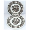 Image 1 : Proceeds Go To Lupus Canada | Lot of 4 "Dorset" Wood & Sons Plates