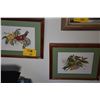 Image 1 : KOA FRAMED WATERCOLOR PRINTS, IIWI IN MAMANE 271/750 & AKIALOA IN LOBELIA 270/750; SIGNED & DATED 19
