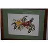 Image 2 : KOA FRAMED WATERCOLOR PRINTS, IIWI IN MAMANE 271/750 & AKIALOA IN LOBELIA 270/750; SIGNED & DATED 19