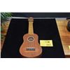 Image 1 : UKULELE