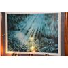 Image 2 : KOA FRAMED COLOR LITHOGRAPH, FERN GROTTO, 242/500; A. CASEY