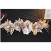 Image 2 : SHELL DECOR
