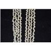 Image 2 : 4 STRAND SHELL LEI