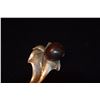 Image 2 : GUMPS STERLING SILVER POLISHED KUKUI NUT BROOCH, CA. 1947