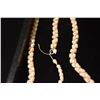 Image 2 : TRIPLE STRAND NIIHAU SHELL NECKLACE W/COWRIE SHELL (NEEDS REPAIR) (9 1/2")