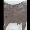 Image 3 : Antique Tin Cow Weather Vane Wall Decor