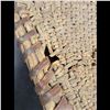 Image 6 : Antique Native American Paiute Winnowing Tray