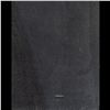 Image 2 : Very Large Oil On Canvas Portrait Painting Of Vladimir Lenin, 20th Century, With Photograph