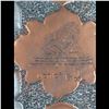 Image 5 : Iraqi Hammered Silver And Copper Plate With Case
