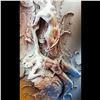 Image 4 : Signed Mixed Media Sculpture On A Printed Background In A Nice Frame