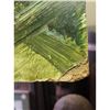 Image 2 : ADOLF SEHRING America/Russian Federation, 1930-2015 Fallen Fence Landscape Painting