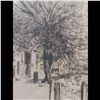 Image 15 : Pair Of Etchings "Eucalyptus Tree" By W.R. Locke & "Strand-On-The-Green, London" By A. Hugh Fisher