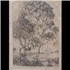Image 5 : Pair Of Etchings "Eucalyptus Tree" By W.R. Locke & "Strand-On-The-Green, London" By A. Hugh Fisher