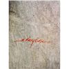 Image 2 : Signed Joyce Roybal (English, Born 1955) Oil On Canvas Painting